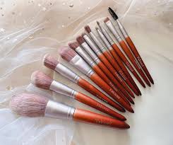 12pcs professional makeup brushes wood