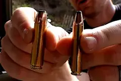 Image result for 450 bushmaster ammo