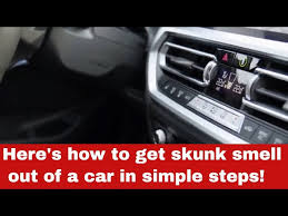 How To Get Skunk Smell Out Of Car In