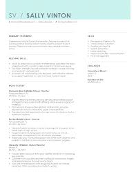 Professional Cvemplate Foreachers Summary Resume Sample