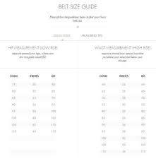 Gucci Brown Double G Buckle Unisex Size 85 Belt