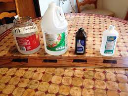 what is the best homemade floor cleaner