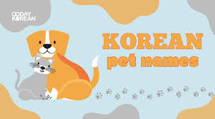 korean pet names various ways to call