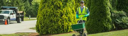 landscape pest control lawn services in