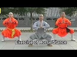 shaolin kung fu basic moves you