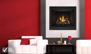 Direct Vent Gas Fireplace Napoleon
