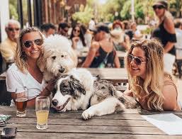 7 dog friendly patios to check out in