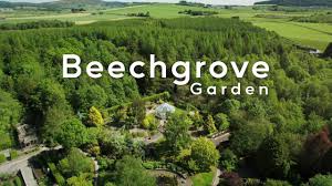 the beechgrove garden 2023 1