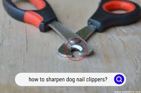 how to sharpen dog nail clippers
