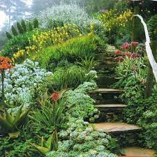 Garden Stairs Dream Garden