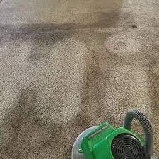 carpet cleaning b t chem dry