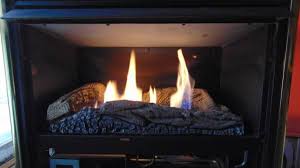 Gas Fireplace Insert Appliances By