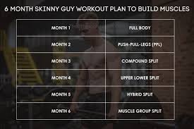 6 month bodybuilding workout plan for