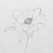 how to draw a realistic flower sketch