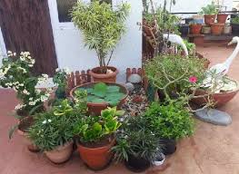 How To Build A Terrace Garden In India