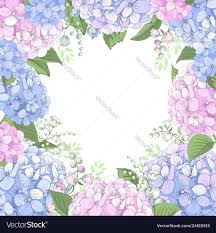 Floral Frame With Hydrangea Flowers