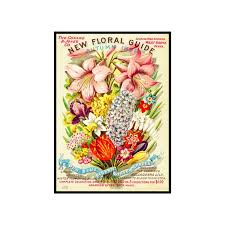 antique flower garden seed catalog