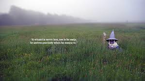 The fellowship of the ring quotes. Hd Wallpaper A Wizard Is Never Late Pug Wallpaper Plant Grass Nature Wallpaper Flare