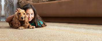 the king carpet cleaning stains on your
