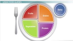 Healthy Diet Planning Guidelines Nutrients Food Groups