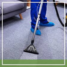 clearview carpet cleaning certified