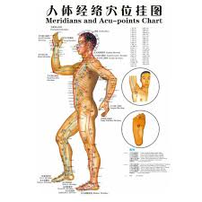 3pcs Medicine Body Acupuncture Points Meridians And Acupoints Chart Map Chart