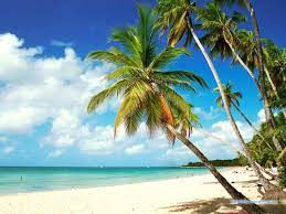 Les plus belles plages de Martinique - Capucineee - Blog lifestyle et  voyage - Cannes - Nice - Monaco - Côte d'Azur