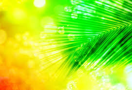 You can explore in this category and download free green background photos. Wonderful Abstract Green Yellow Background Photo Download Best Free Pics
