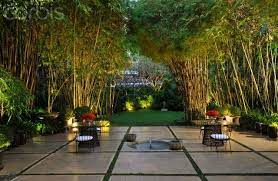 Bamboo Garden Tropical Garden Design