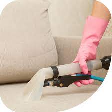 snohomish carpet cleaning