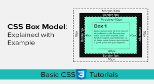 css basic box model