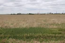 land in lipscomb county tx