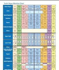 Homeopathic Tooth Chart Www Bedowntowndaytona Com