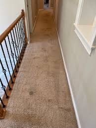 commercial carpet cleaning east cobb