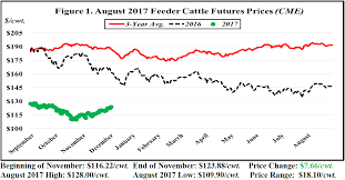 November Cattle Market Price Watch Panhandle Agriculture