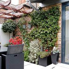 Patio Wall Decorating Ideas With Plants