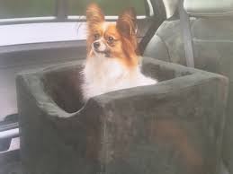 Co Pilot Booster Seats Cosy Pooch