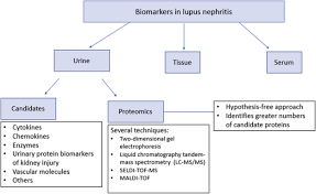 urinary biomarkers in lupus nephritis