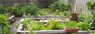 creating edible gardens sustainable
