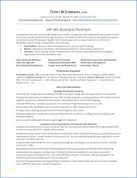 Executive Director Cover Letter Lovely Executive Director Cover