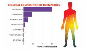 curioustem chemical composition of body