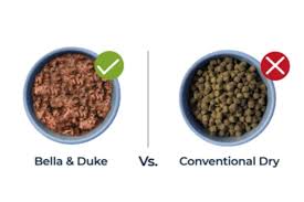 raw dog food vs kibble a comparison