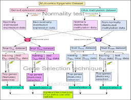 Flowchart For Performance Analysis Of The Gene Selection