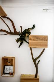 12 arbres à chat à fabriquer soi même