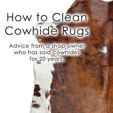 Brushing with a hard plastic brush helps keep the hair soft and fluffy and helps remove dirt. How To Clean A Cowhide Rug Advice From A Shop Owner Who Has Sold Cowhides For 20 Years Cactus Creek