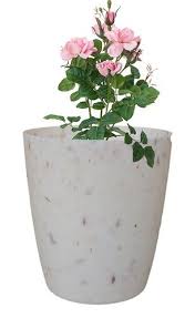 garden flower pot