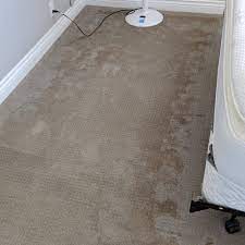 pacific carpet tile cleaning lake