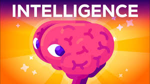Aptitude in grasping truths, relationships, facts, meanings, etc. What Is Intelligence Where Does It Begin Kurzgesagt Explains
