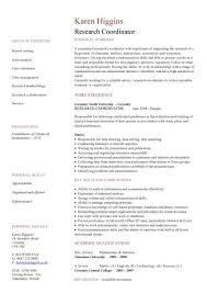 Examples Of The Perfect Resume  Example Perfect Resume Get Started    