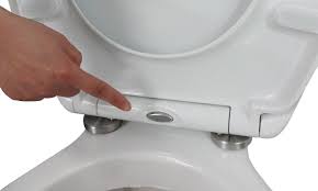 toilet seat with hidden fixings